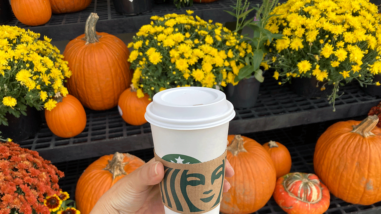 The real reason pumpkin spice is so popular