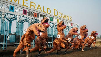 Horse race track in Washington turns prehistoric as 200 ‘T. rexes’ race to the finish line