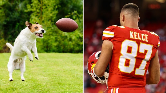 'Kelce' becomes a top trending dog name in America, pet company's data shows