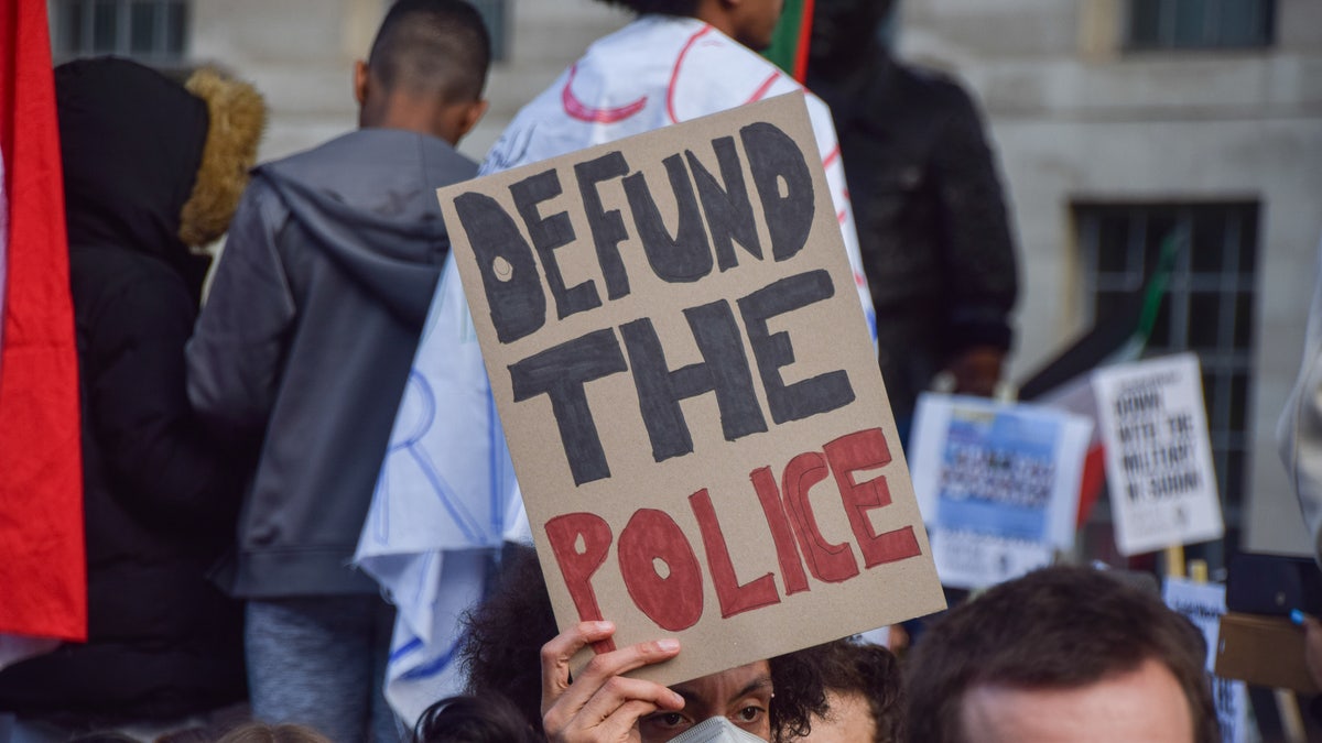 Defund the Police, democrats, buffalo shooting, Hannity