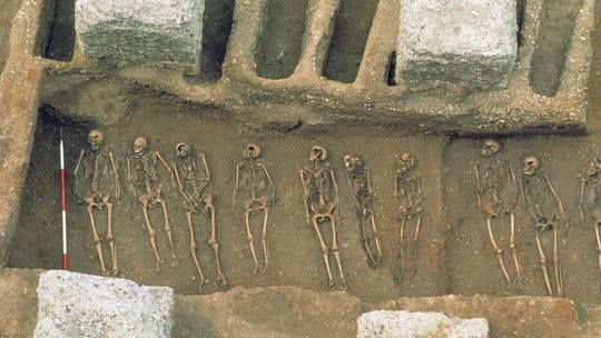 New study claims 'structural racism' played role in Black Death