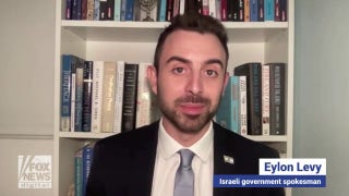 Israeli official shares his thoughts behind the viral moment and the difficult circumstances of dealing with the media as a spokesperson for Israel - Fox News