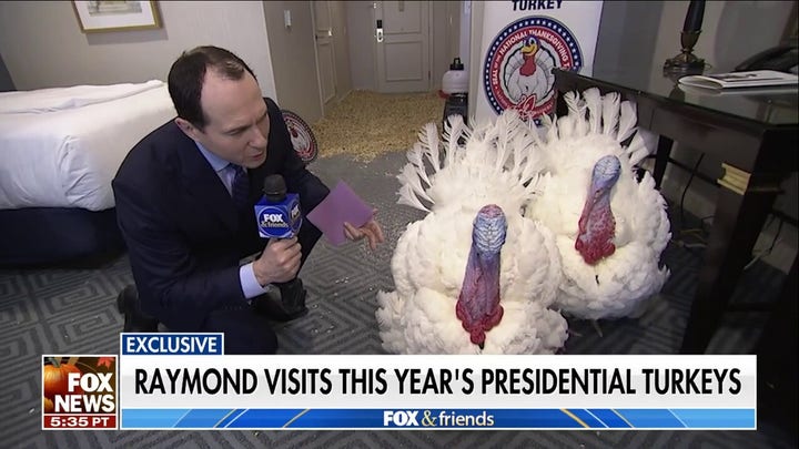 Raymond Arroyo gobbles with presidential turkeys Liberty and Bell