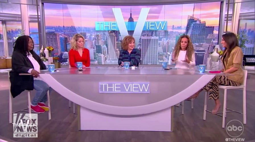 ‘The View’ defends ‘nepo babies’ in debate: Nepotism has been going on all over the place