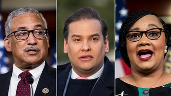 These four House Dems voted 'present' or against expelling George Santos from Congress