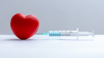 Could flu vaccination reduce the risk of heart attacks and cardiovascular deaths?