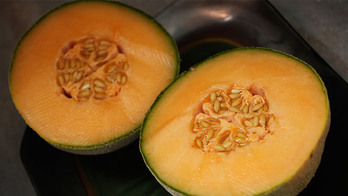 Salmonella-infected cantaloupes leave dozens sick in 15 states: health officials