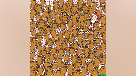 Christmas puzzle: How fast can you find Rudolph among the reindeer?