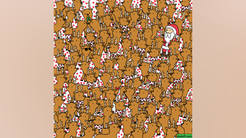 Christmas puzzle: How fast can you find Rudolph among the reindeer?